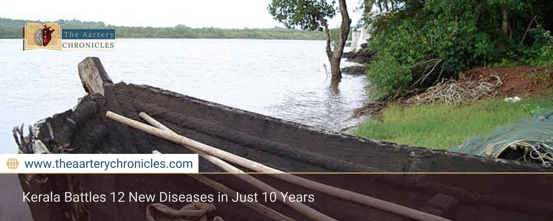Kerala Battles 12 New Diseases in Just 10 Years